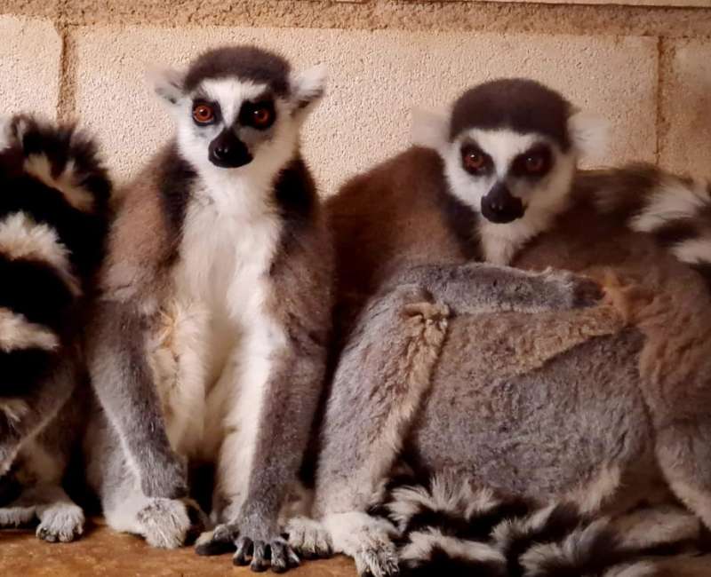 JORNADA GERENTES ACEDYR / MARZO 2025 / TUDELA / NAVARRA - ACEDYR, Asociaci�n de Clubes y Entidades Deportivas y Recreativas