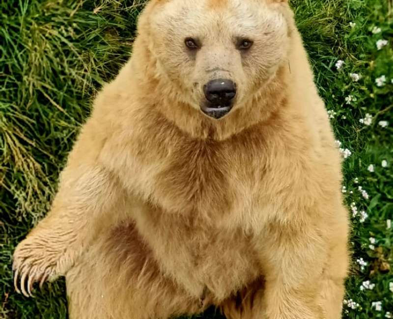 JORNADA GERENTES ACEDYR / MARZO 2025 / TUDELA / NAVARRA - ACEDYR, Asociaci�n de Clubes y Entidades Deportivas y Recreativas