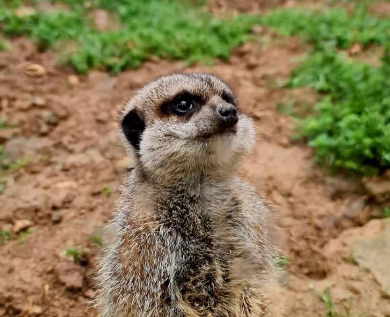 JORNADA GERENTES ACEDYR / MARZO 2025 / TUDELA / NAVARRA - ACEDYR, Asociaci�n de Clubes y Entidades Deportivas y Recreativas